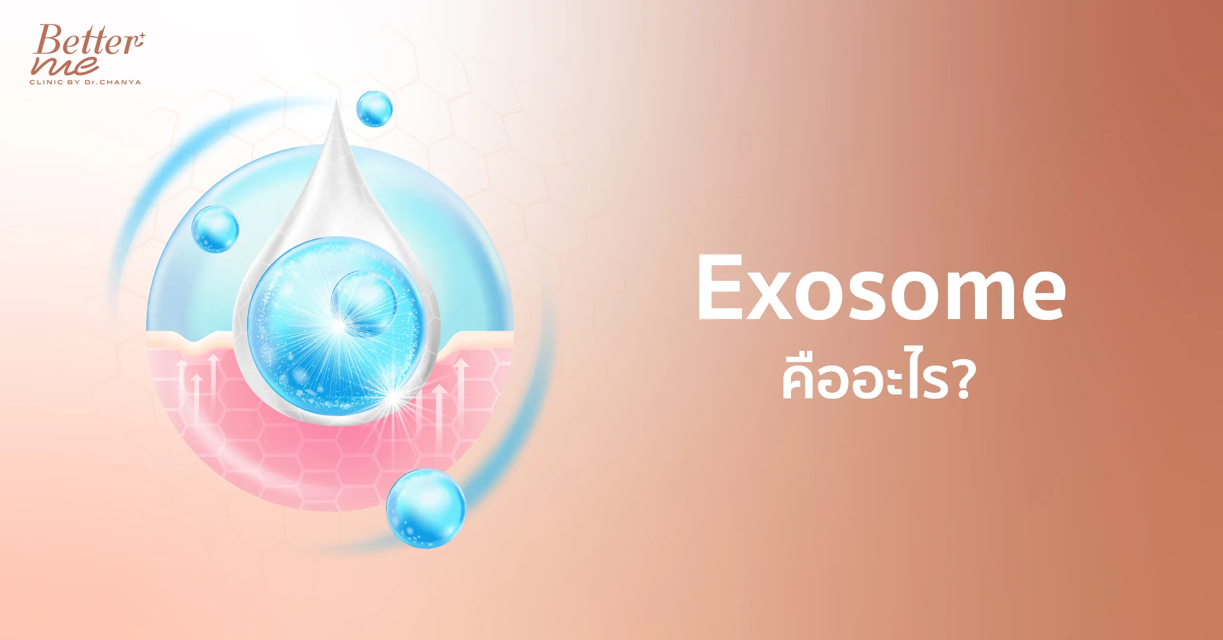 Exosome คืออะไร?