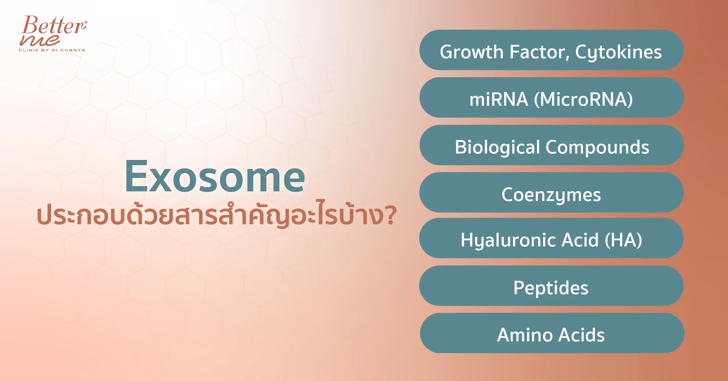 Exosome ประกอบด้วยสารสำคัญอะไรบ้าง?