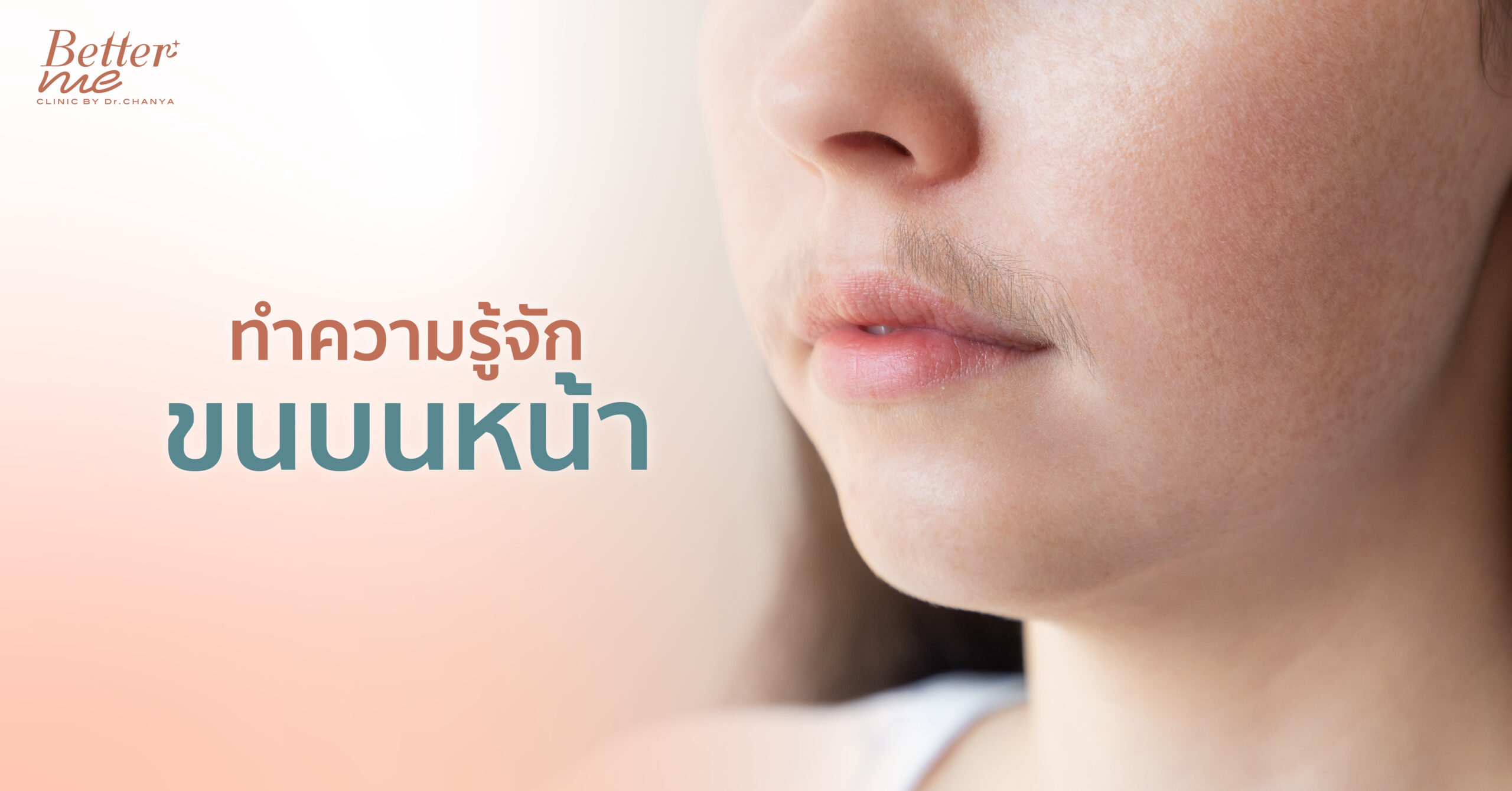 ทำความรู้จักขนบนหน้า